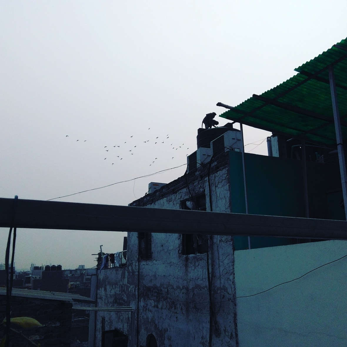 IMG_20171105_115533_114