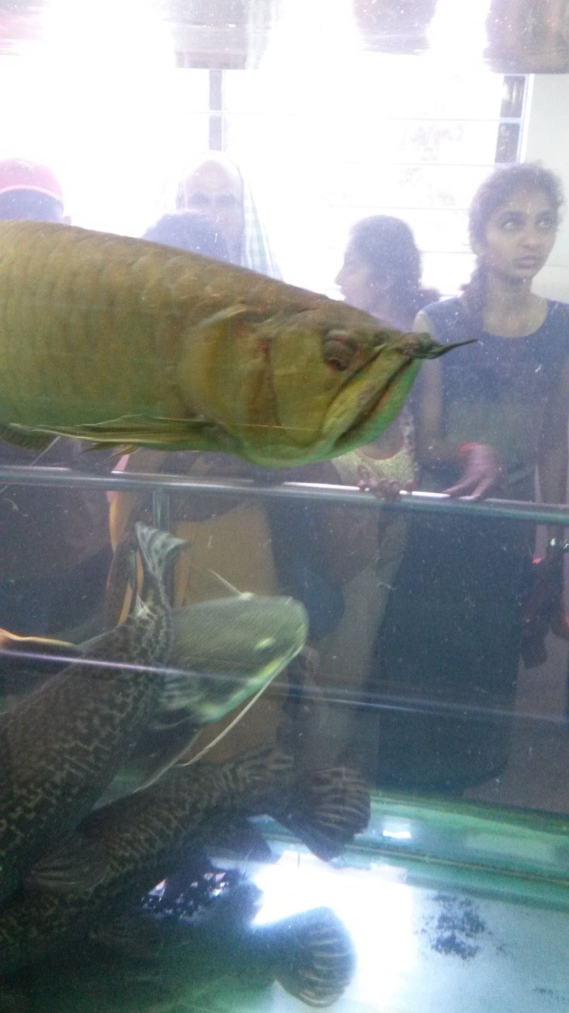 download_20180331_115321